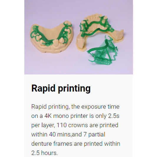 500g iFun Dental Casting Resin Castable dental 3D Printing Resin